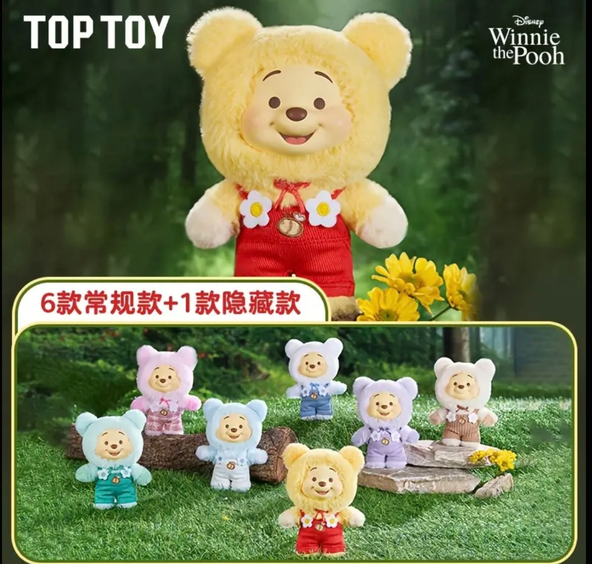 Winnie the Pooh Sürpriz Kutu