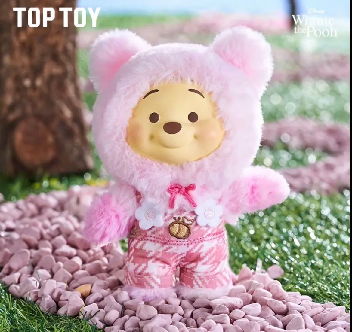 Winnie the Pooh Sürpriz Kutu